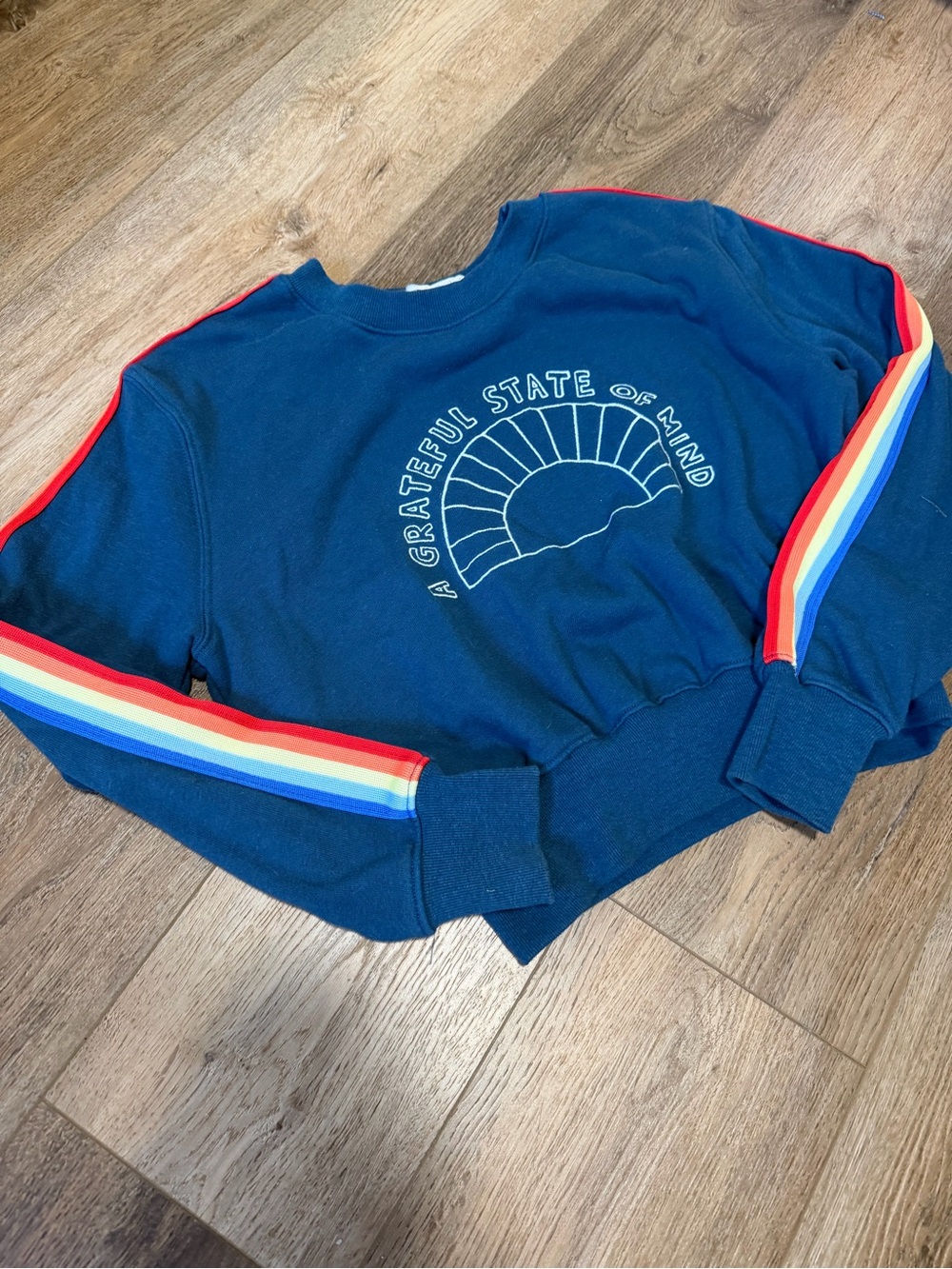 Spiritual Gangster Navy Crewneck Sweatshirt with Rainbow Stripe Detail - Picture 2 of 6